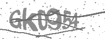 visual captcha